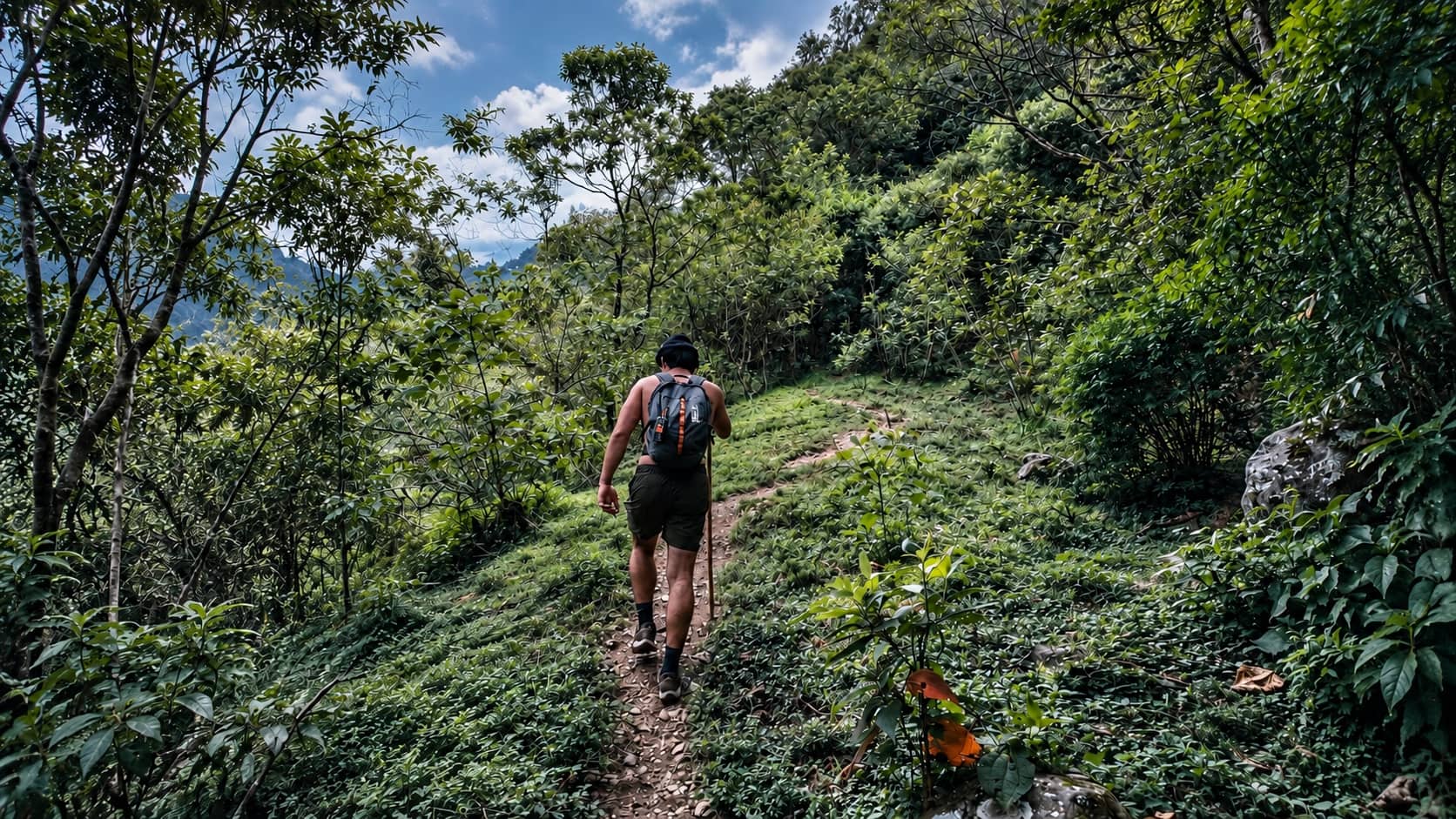 HIKING